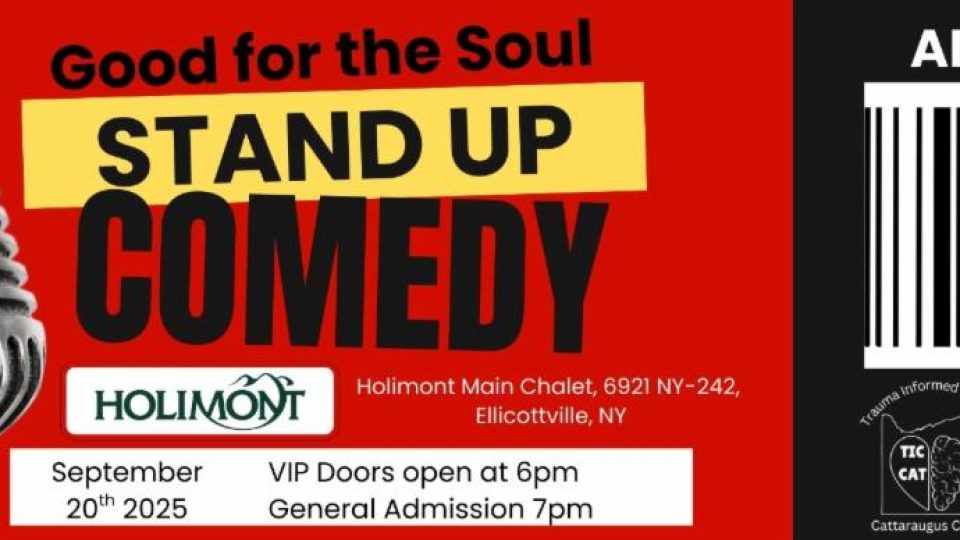 STAND UP TICKET COVER