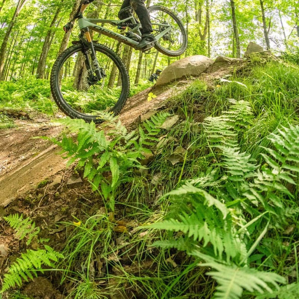 holimont-biking-trail-mountain-ride