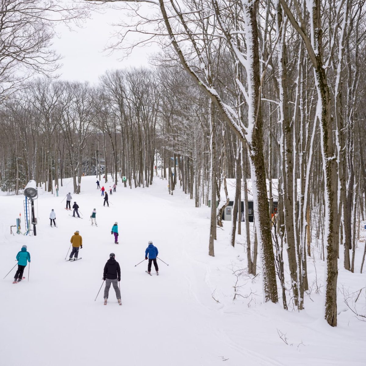 holimont-skiing-through-woods