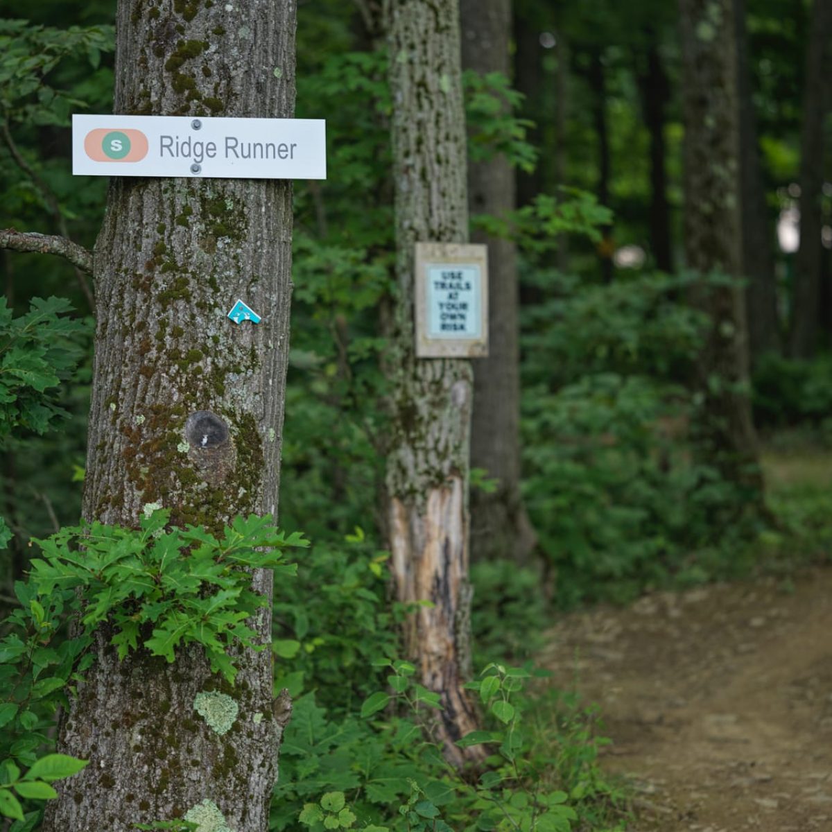 holimont-summer-activities-29
