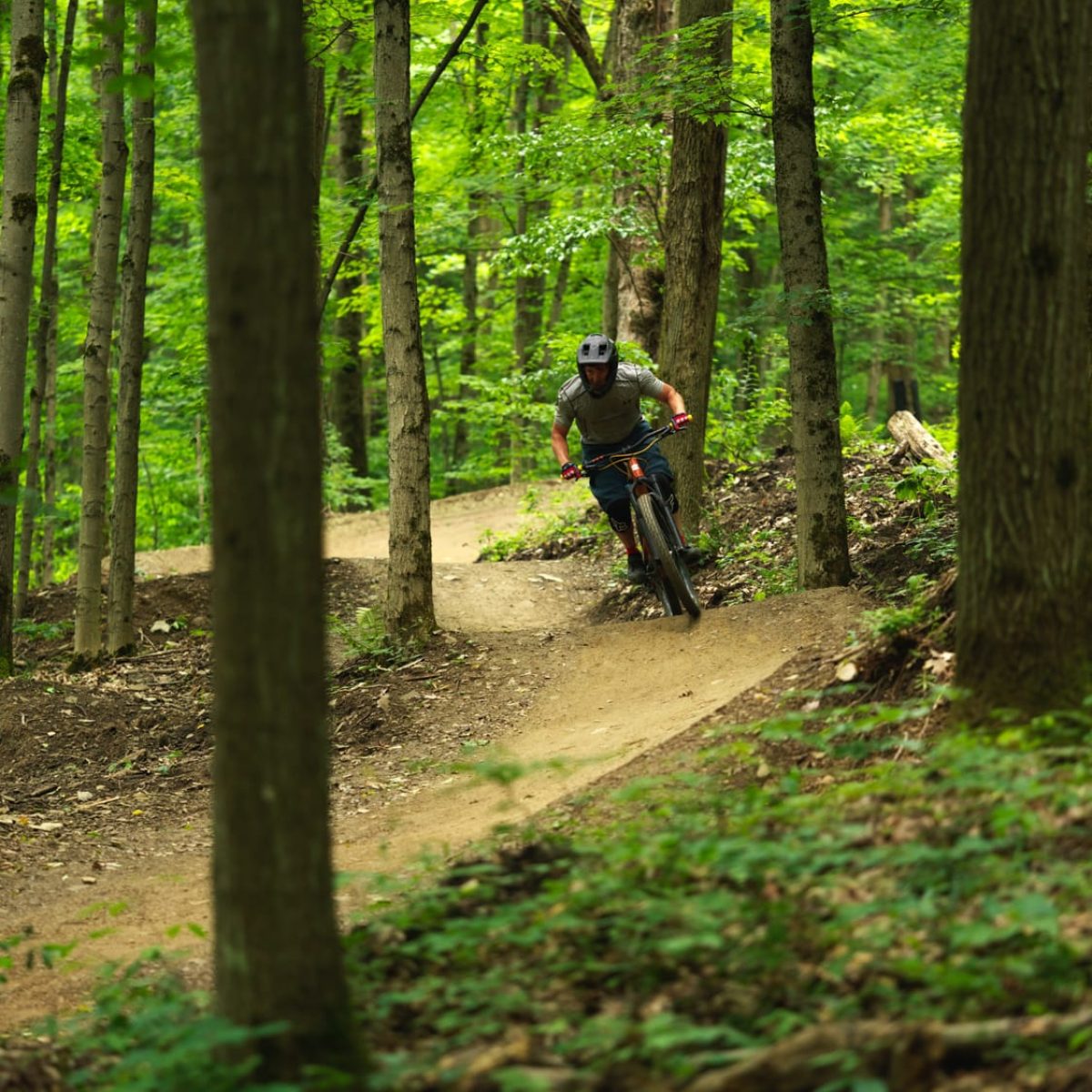 holimont-summer-activities-32