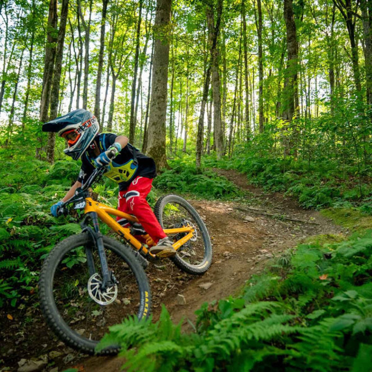 holimont-summer-manonbike